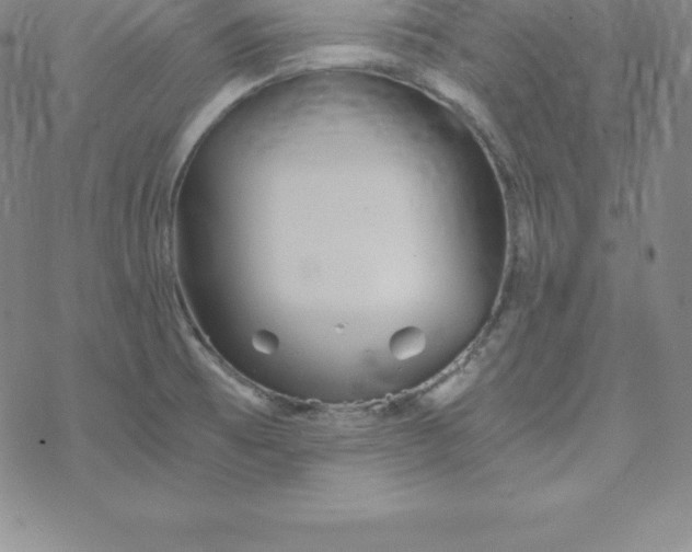 X0000069831473200606021324