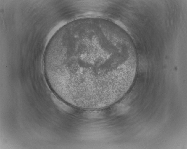 X0000069831474200606021324