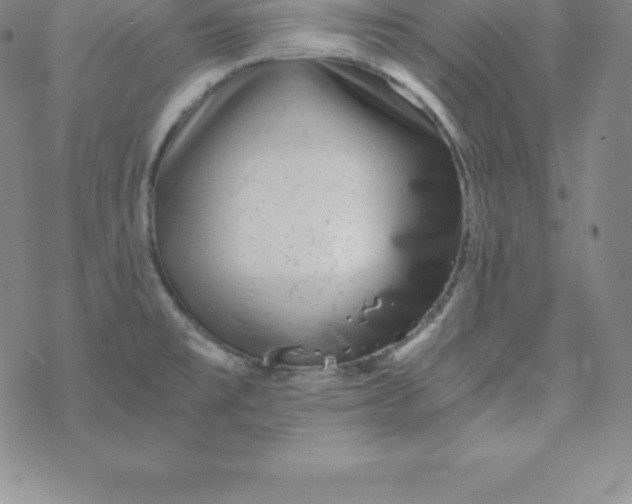 X0000069831477200606021324