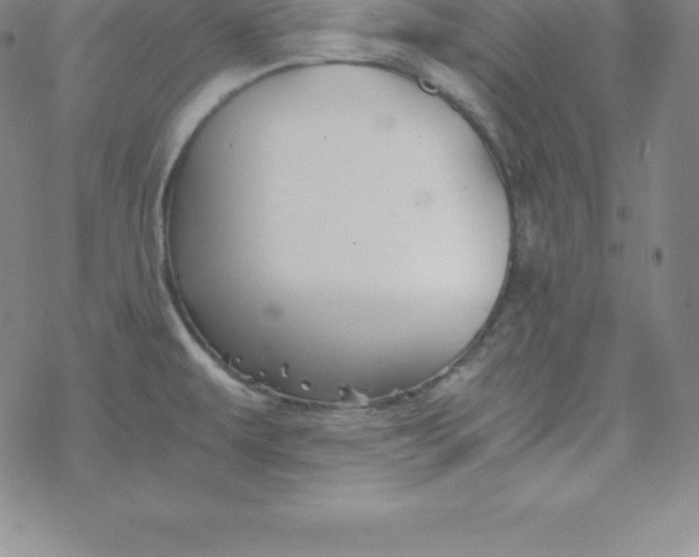 X0000069831479200606021324