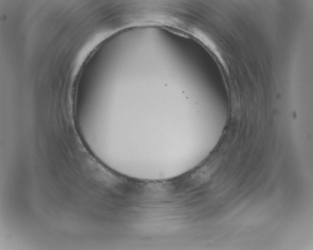 X0000069831480200606021324