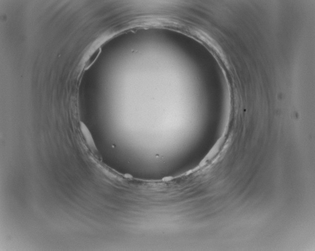 X0000069831481200606021324