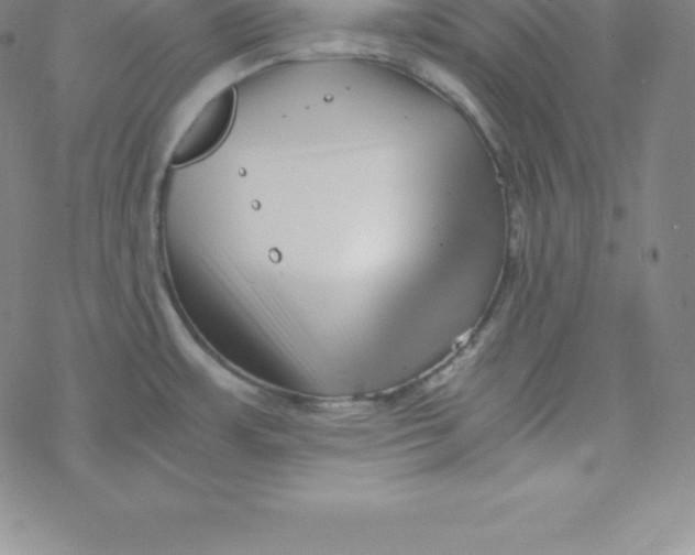 X0000069831483200606021324