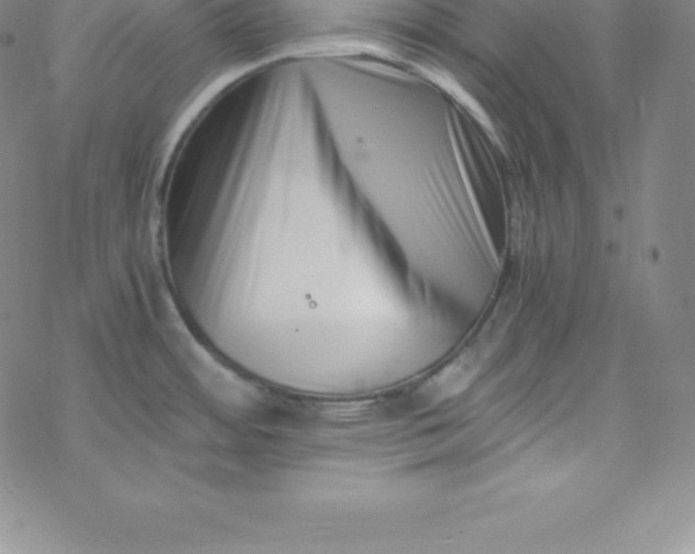 X0000069831484200606021324