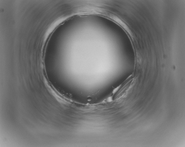 X0000069831485200606021324