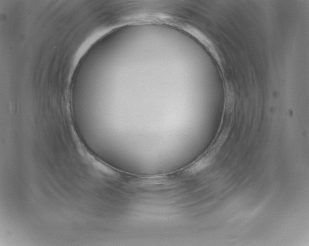 X0000069831486200606021324