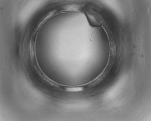 X0000069831487200606021324