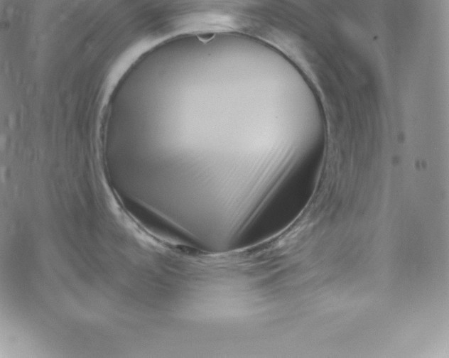 X0000069831488200606021324