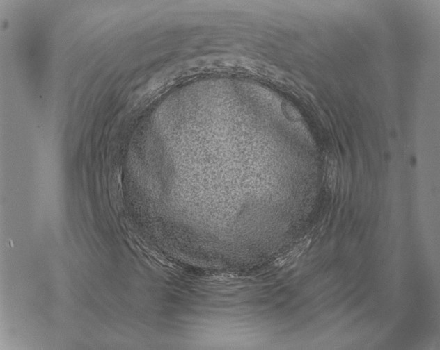 X0000069831489200606021323