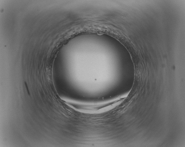 X0000069831490200606021323