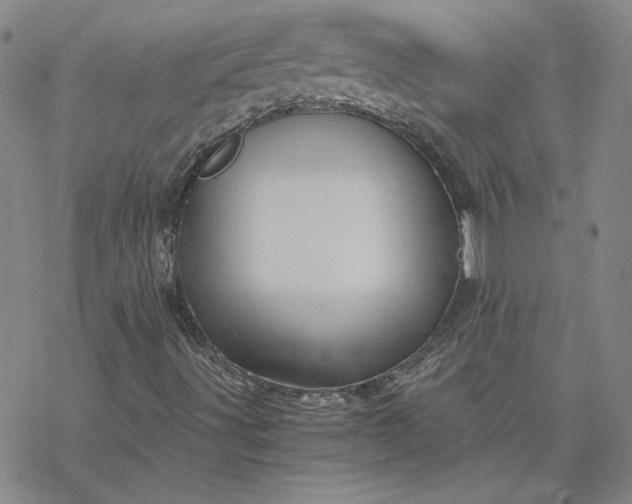 X0000069831491200606021323