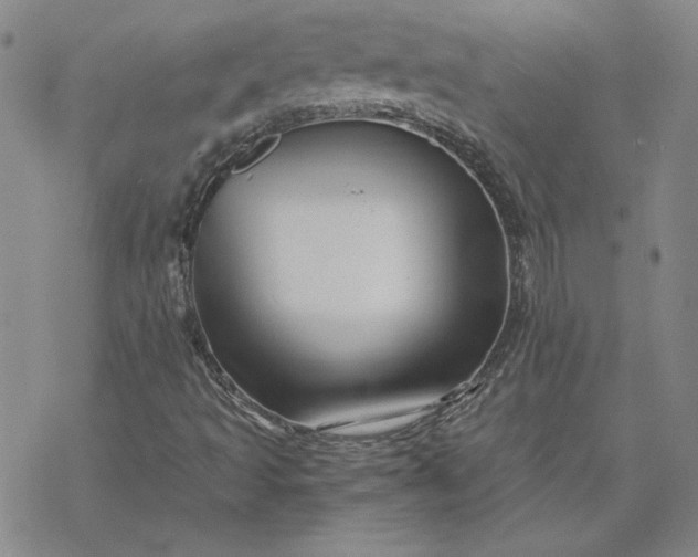 X0000069831493200606021323