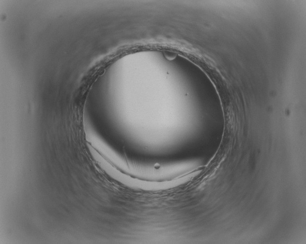 X0000069831494200606021323