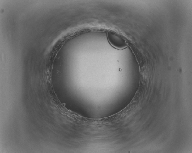 X0000069831495200606021323