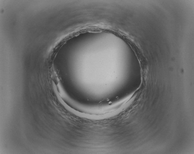 X0000069831496200606021323