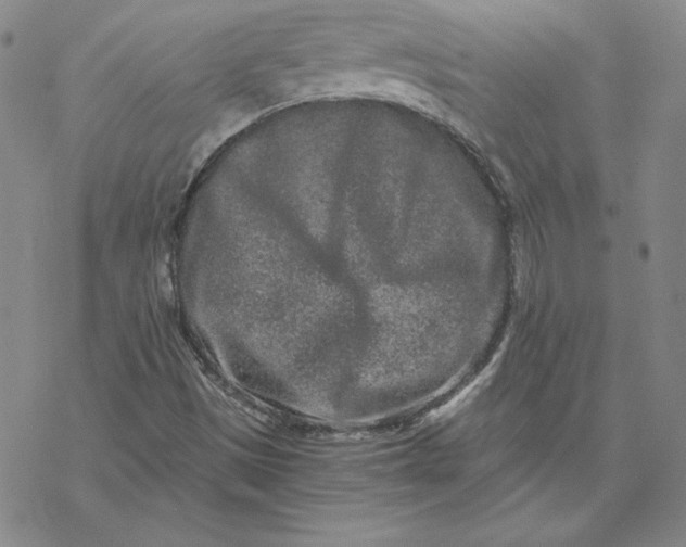 X0000069831497200606021323