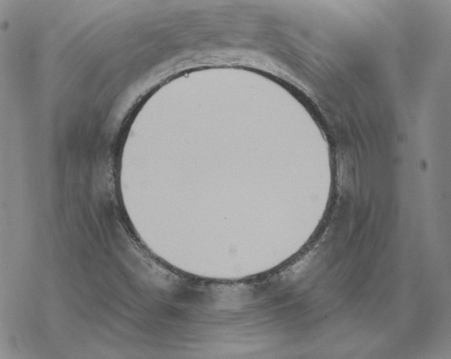 X0000069831498200606021323