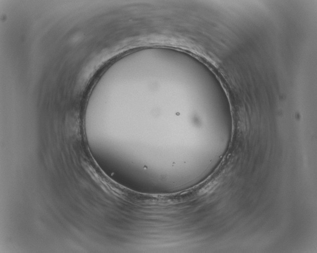 X0000069831499200606021323