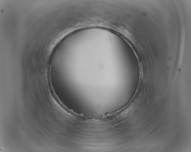 X0000069831500200606021323