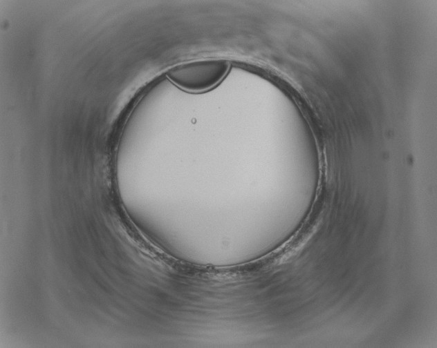 X0000069831501200606021323