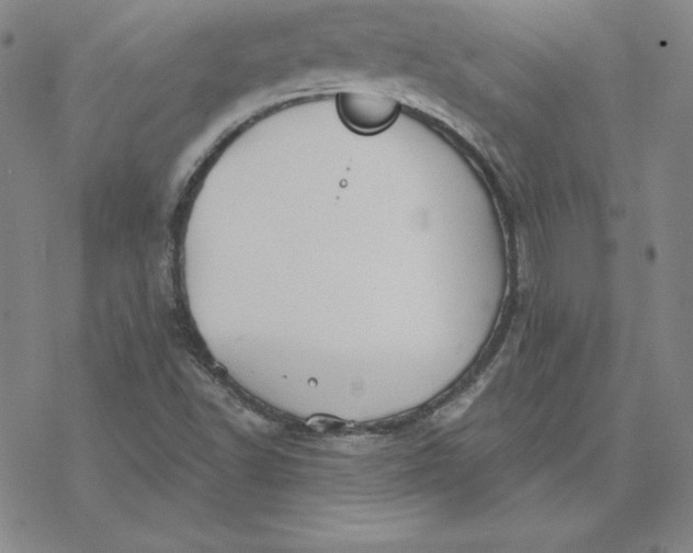 X0000069831502200606021323