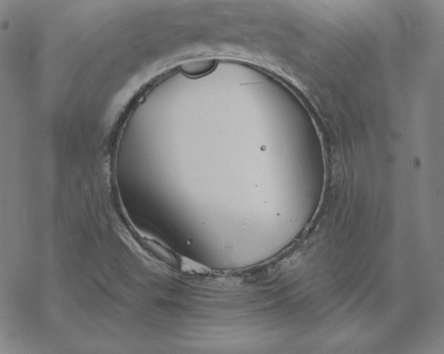 X0000069831503200606021323