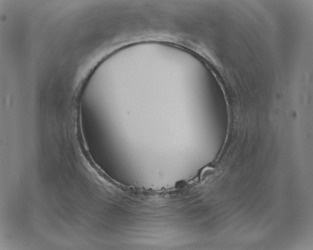 X0000069831504200606021323