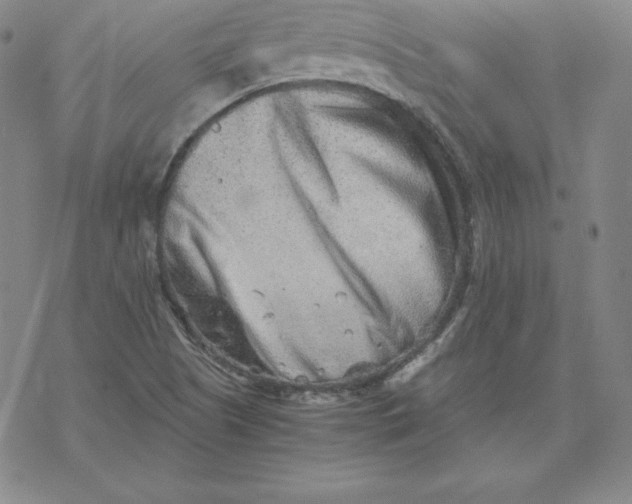 X0000069831505200606021323