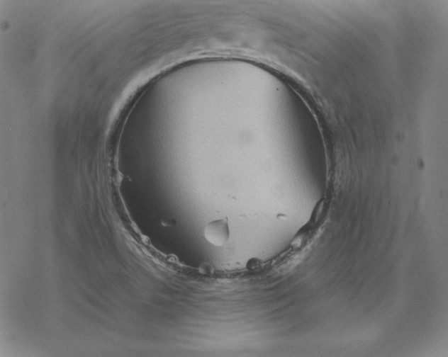 X0000069831506200606021323