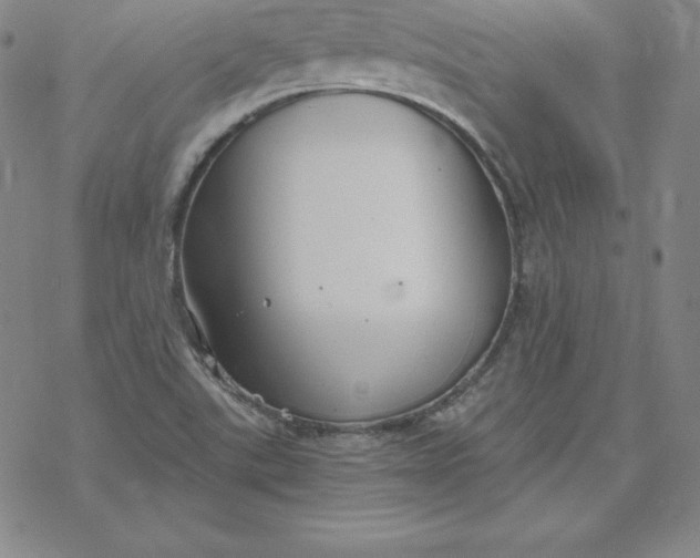 X0000069831507200606021323