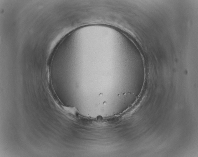 X0000069831509200606021323