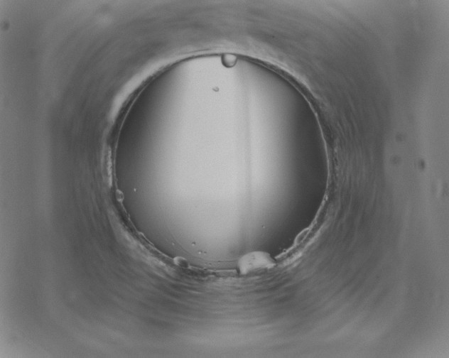 X0000069831510200606021323