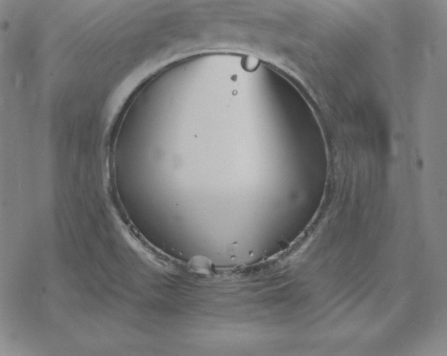 X0000069831511200606021323