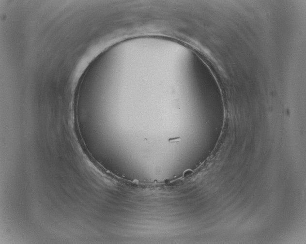 X0000069831512200606021323