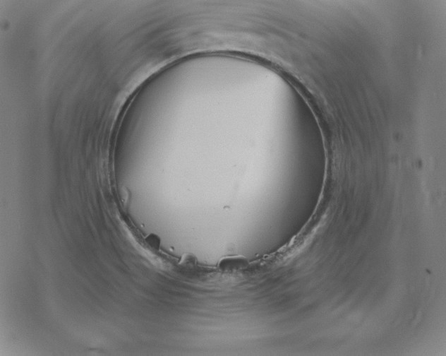 X0000069831513200606021323