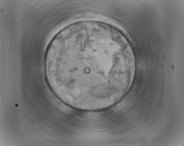 X0000069831514200606021323