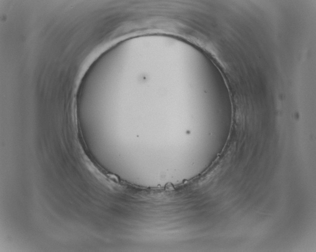 X0000069831516200606021323