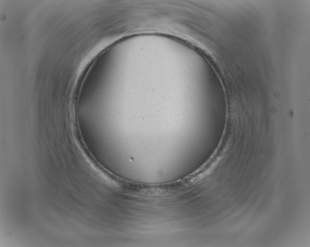 X0000069831517200606021323