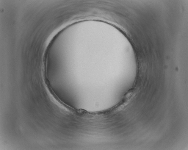 X0000069831518200606021323