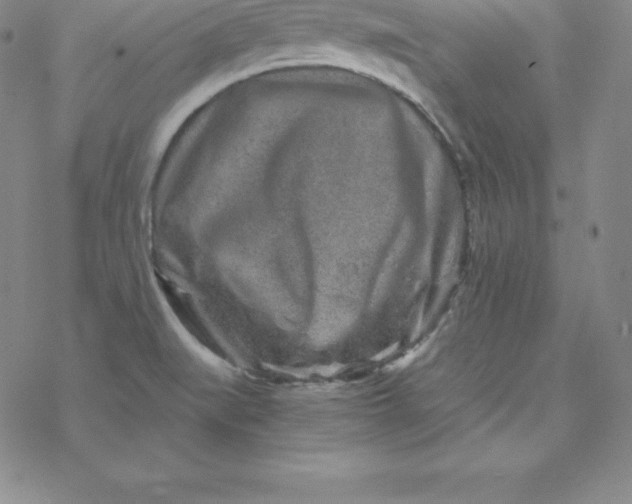 X0000069831519200606021324