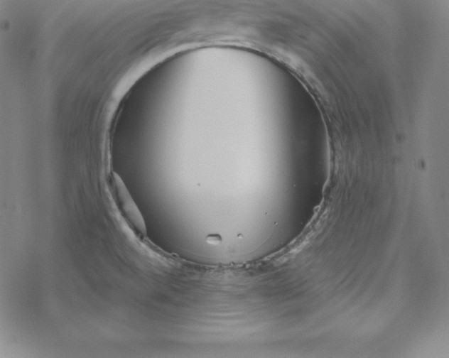 X0000069831520200606021324