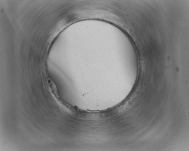 X0000069831521200606021324