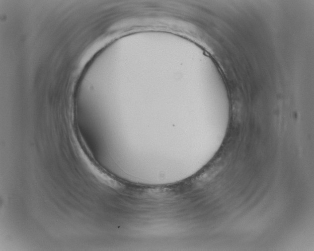 X0000069831523200606021324