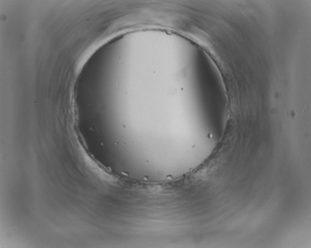 X0000069831524200606021324