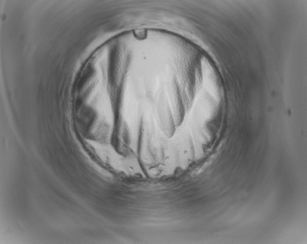 X0000069831525200606021324