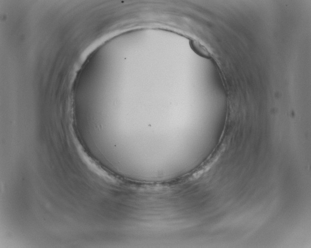 X0000069831526200606021324