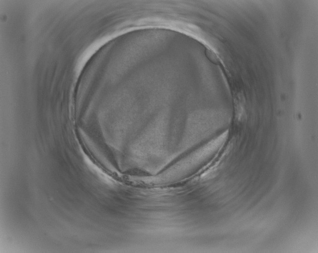 X0000069831527200606021324