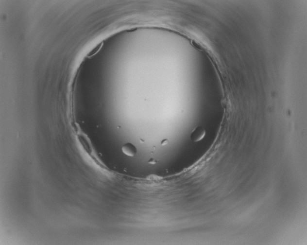 X0000069831528200606021324