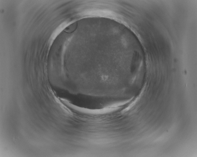 X0000069831529200606021324