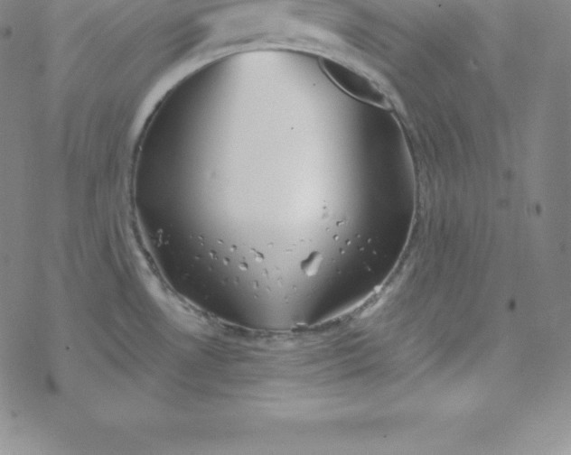 X0000069831530200606021324